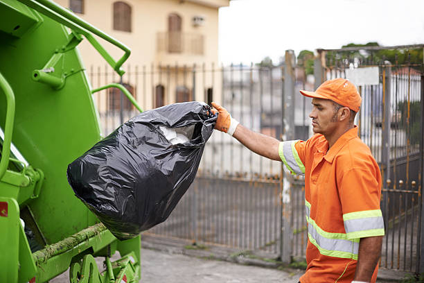 Best Dumpster Rental Services  in Littlerock, CA